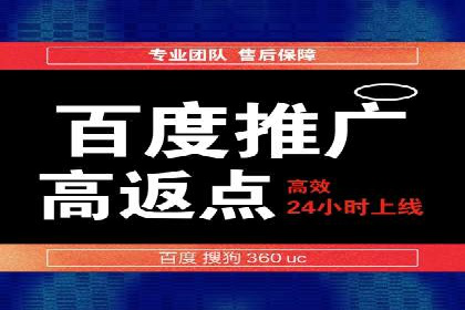 百度推广实战：案例分享与数据解读